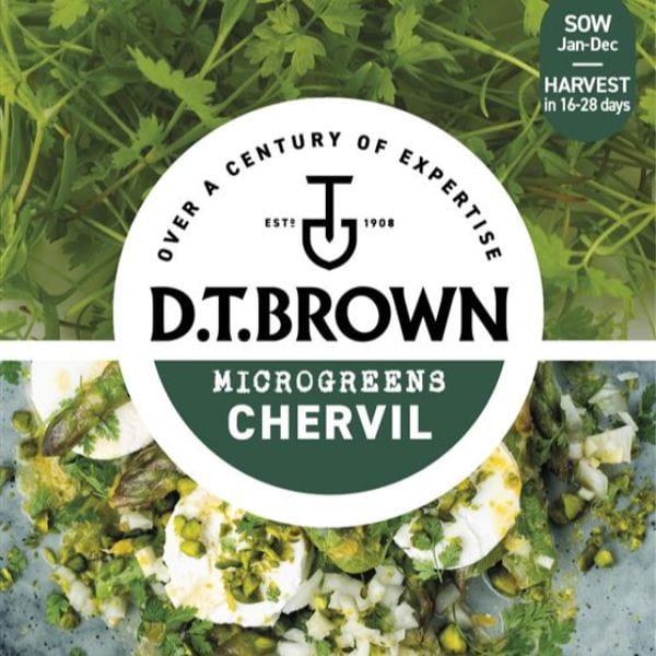 dt-brown VEGETABLE SEEDS Microgreens Chervil Seeds