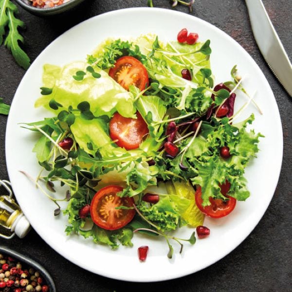 dt-brown VEGETABLE SEEDS Mizuna Red Seeds