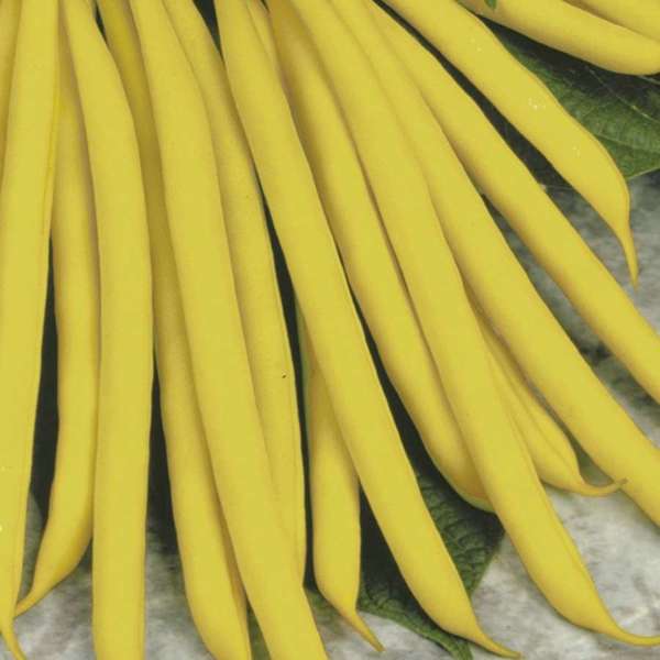 Close-up of yellow beans on a textured surface with green leaves.