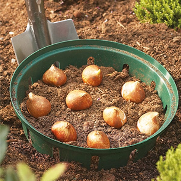 dt-brown HARDWARE Bulb Planting Baskets (3 x 26cm round)