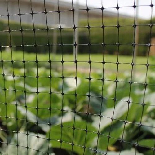 Premium Walk In Aluminium Fruit & Veg Cage with Bird Netting