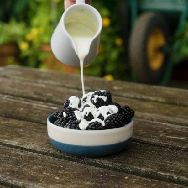 dt-brown Blackberry Loch Katrine Plant