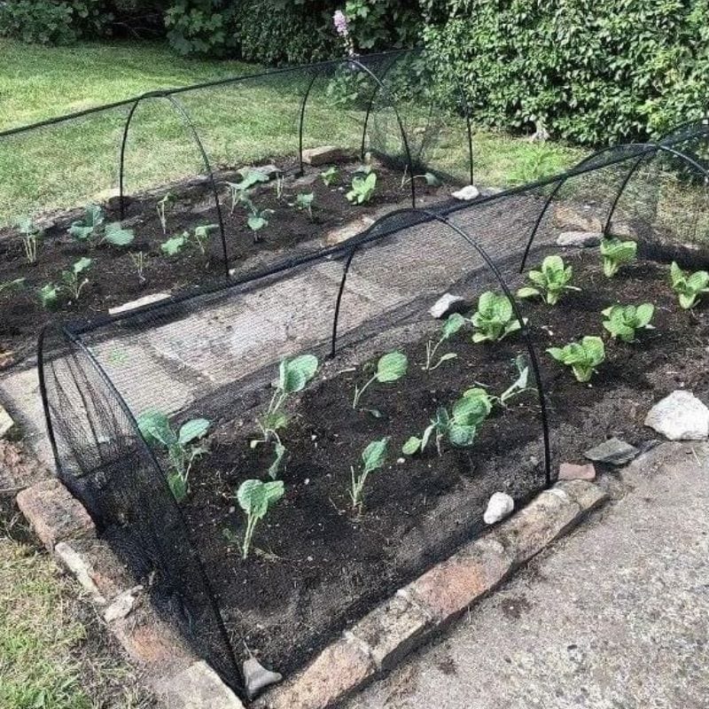 dt-brown Butterfly Plant Protection Netting