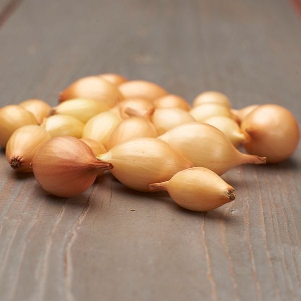 dt-brown ONIONS/GARLIC/SHALLOTS Spring Planting Onion Set Collection