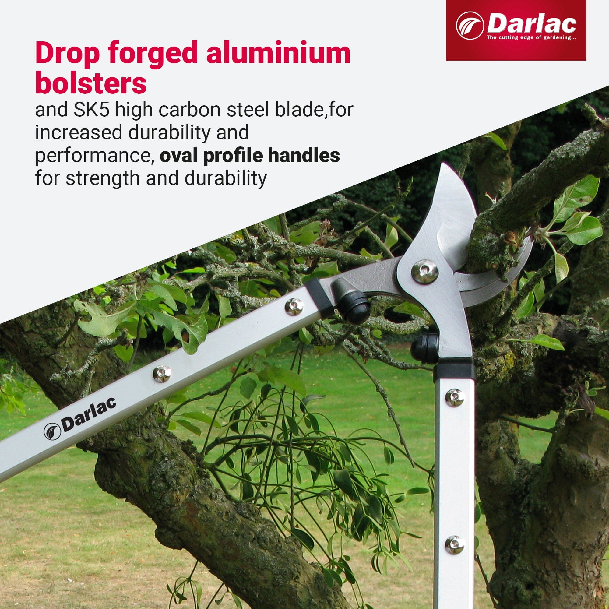 dt-brown HARDWARE Darlac Expert Bypass Lopper