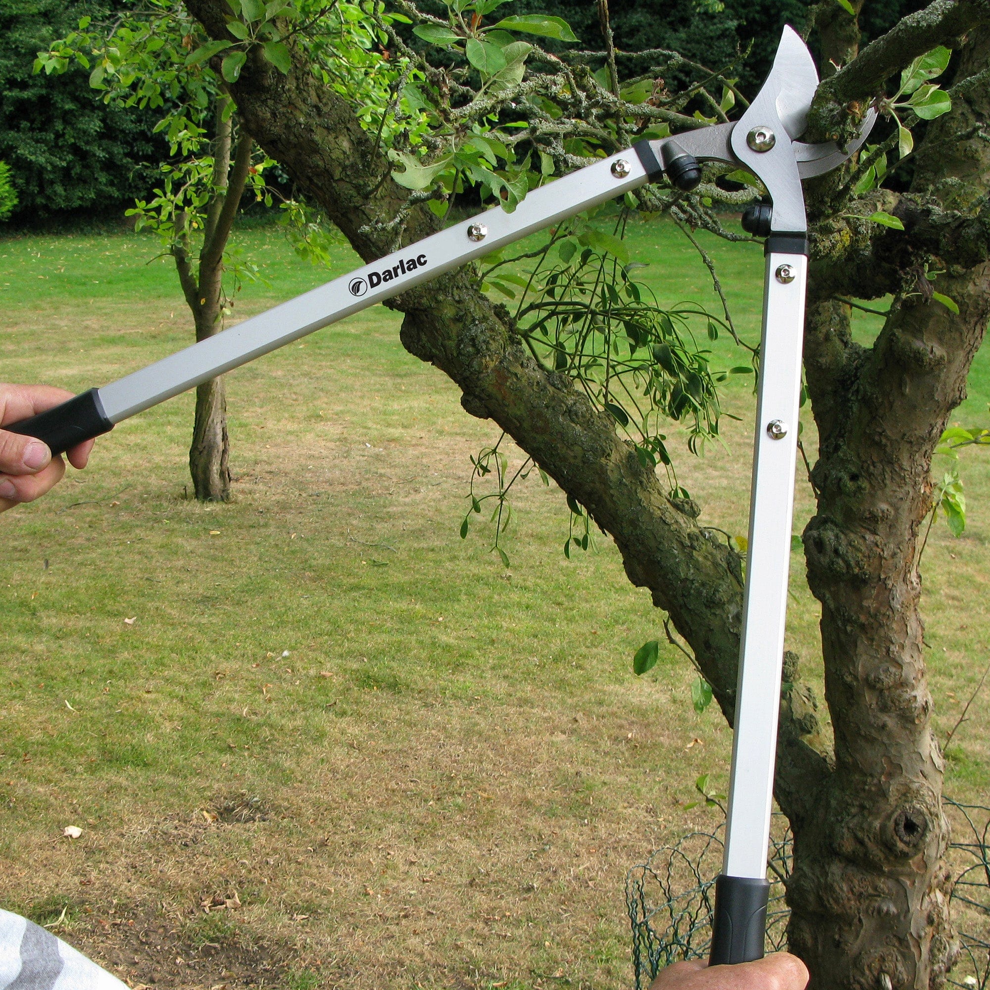 dt-brown HARDWARE Darlac Expert Bypass Lopper