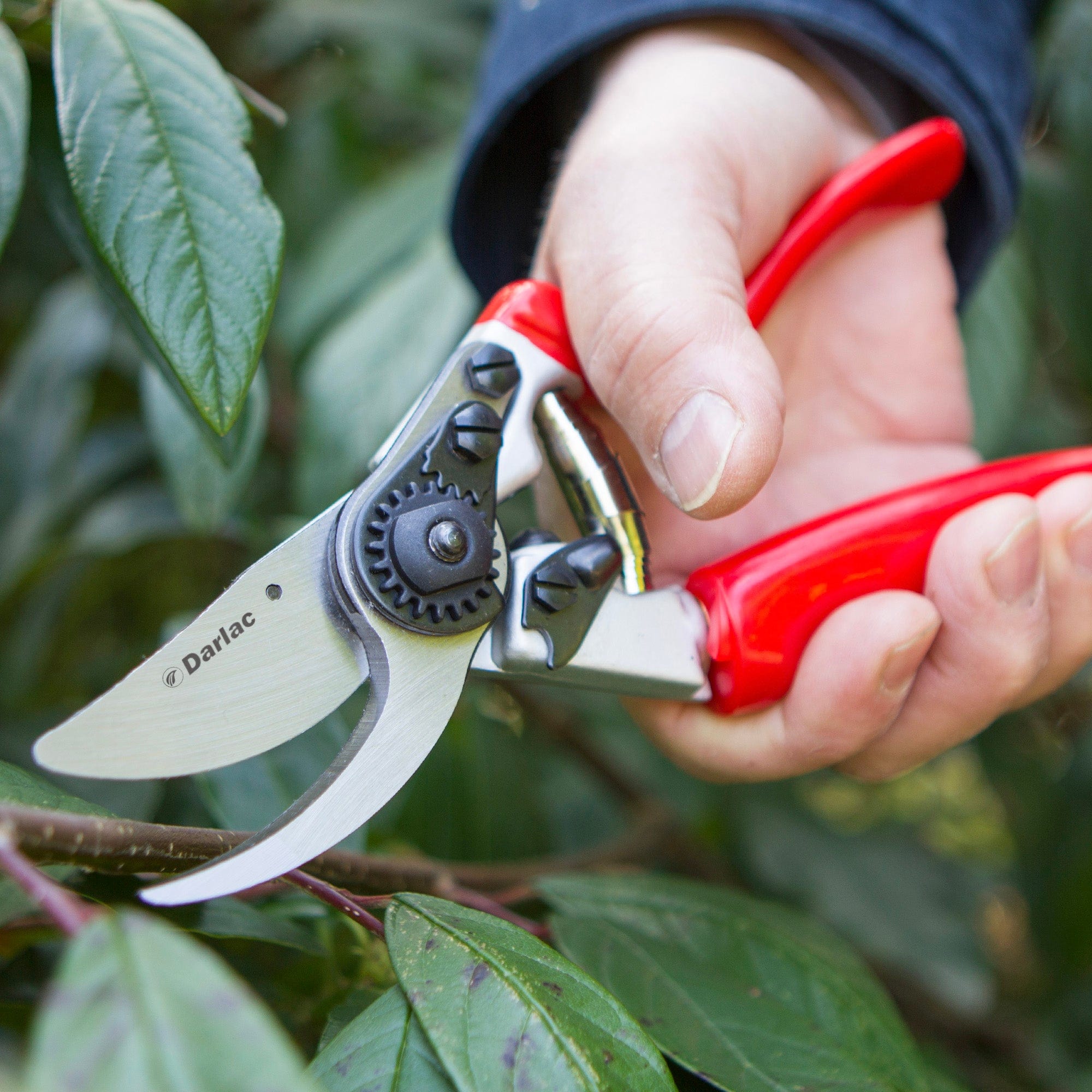 dt-brown HARDWARE Darlac Expert Rotating Handle Bypass Secateurs