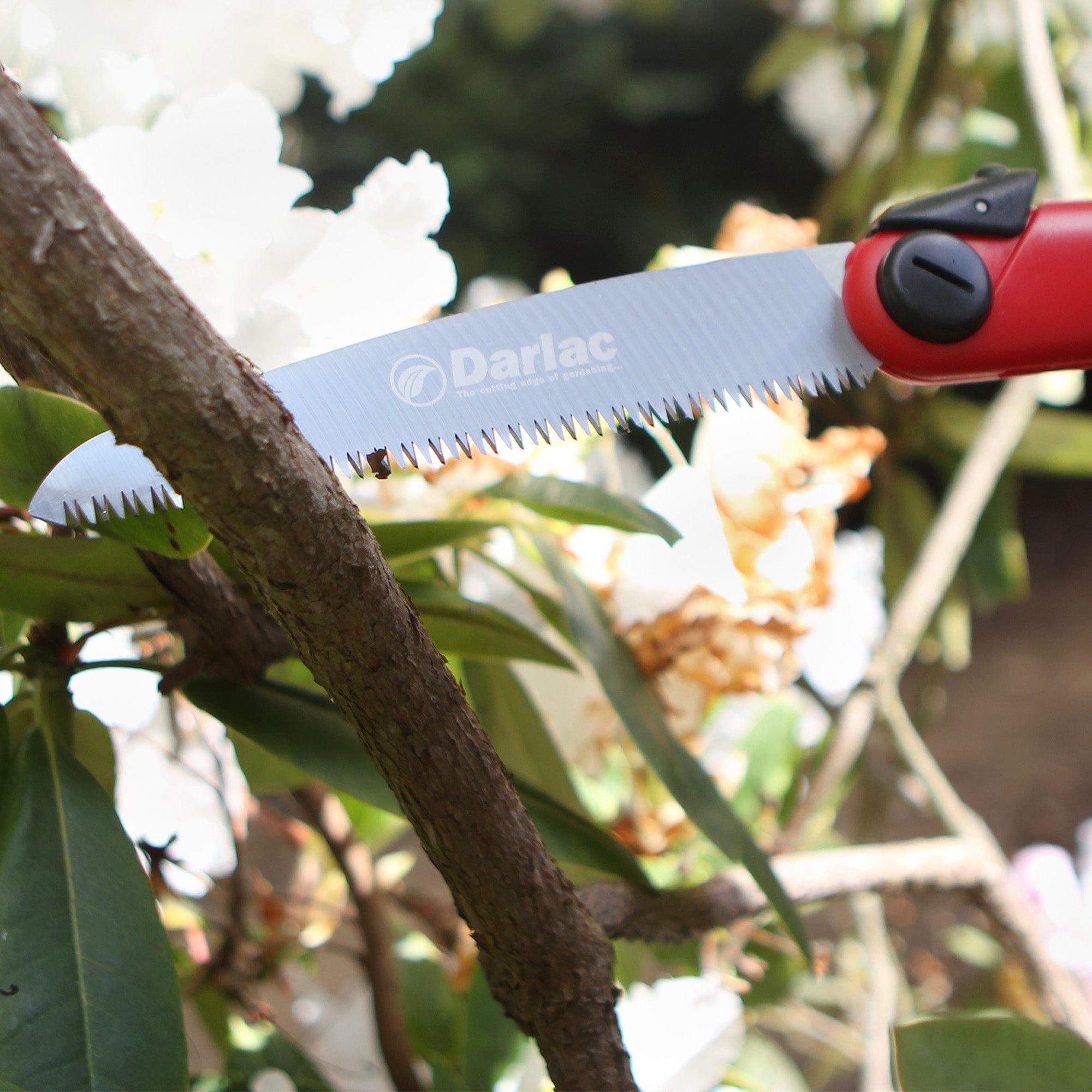 dt-brown HARDWARE Darlac Sabre Tooth Folding Saw Spare Blade