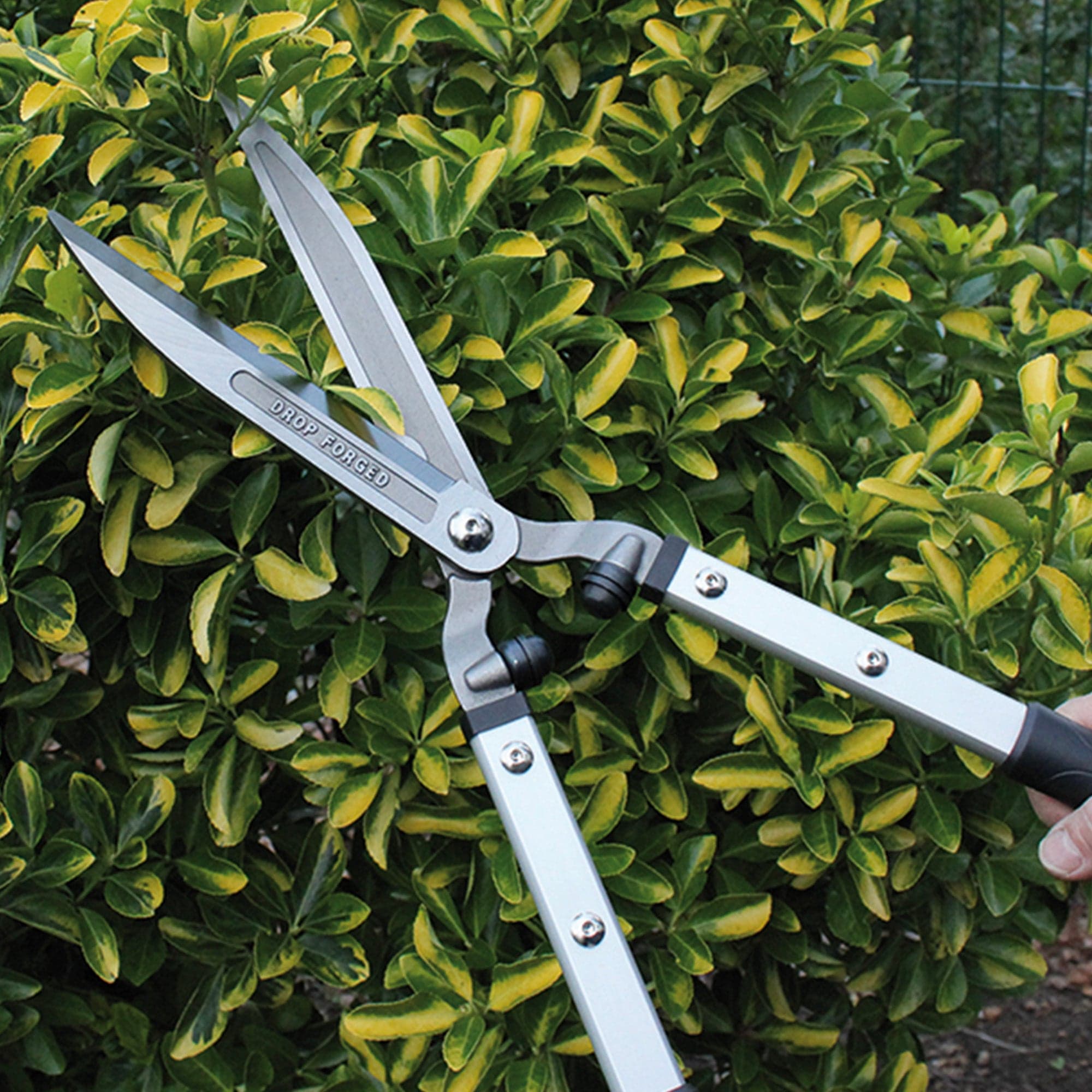 dt-brown HARDWARE Darlac Expert Drop Forged Shear