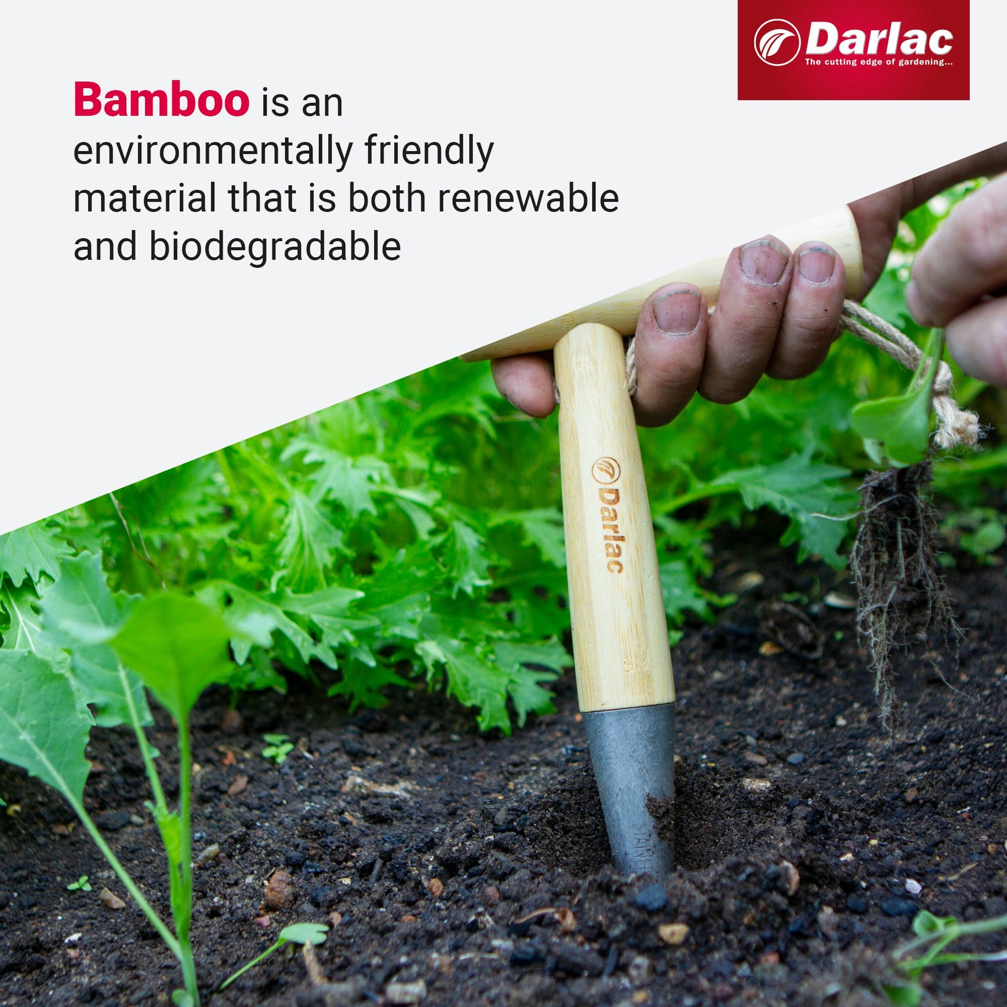 dt-brown HARDWARE Darlac Bamboo Dibber
