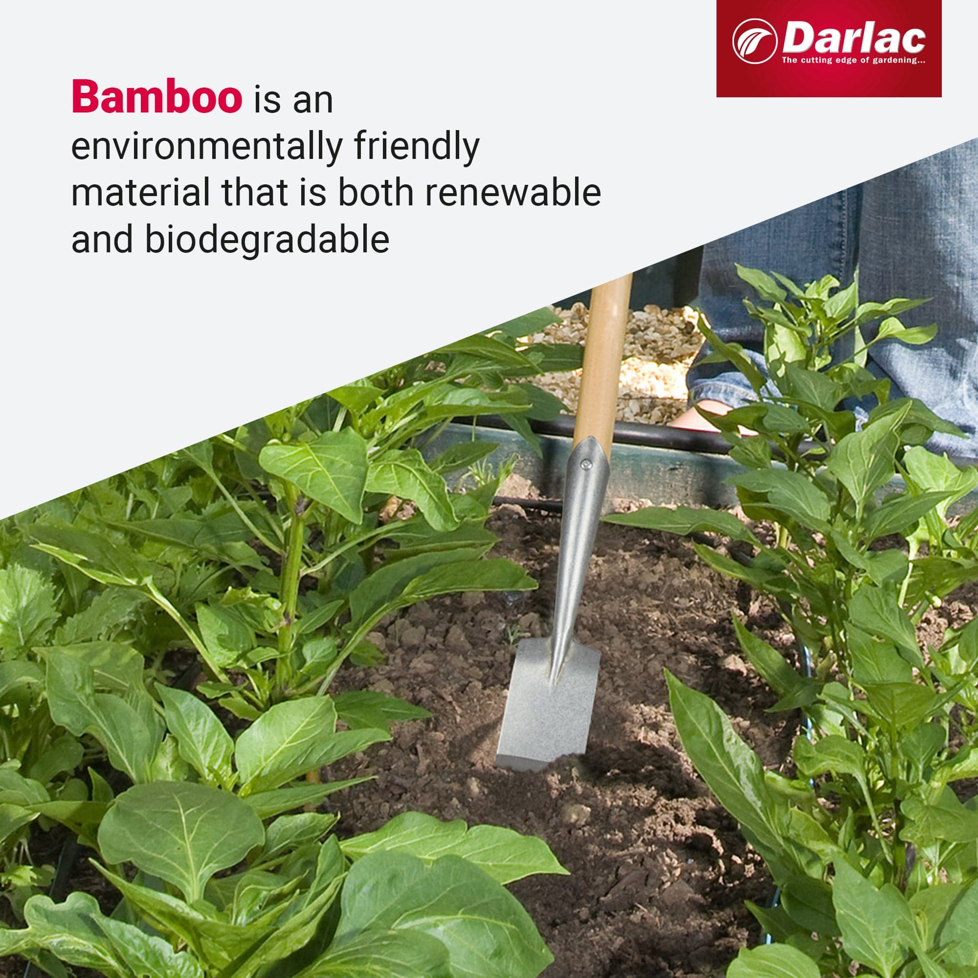 dt-brown HARDWARE Darlac Bamboo Narrow Spade Hoe Short Handle