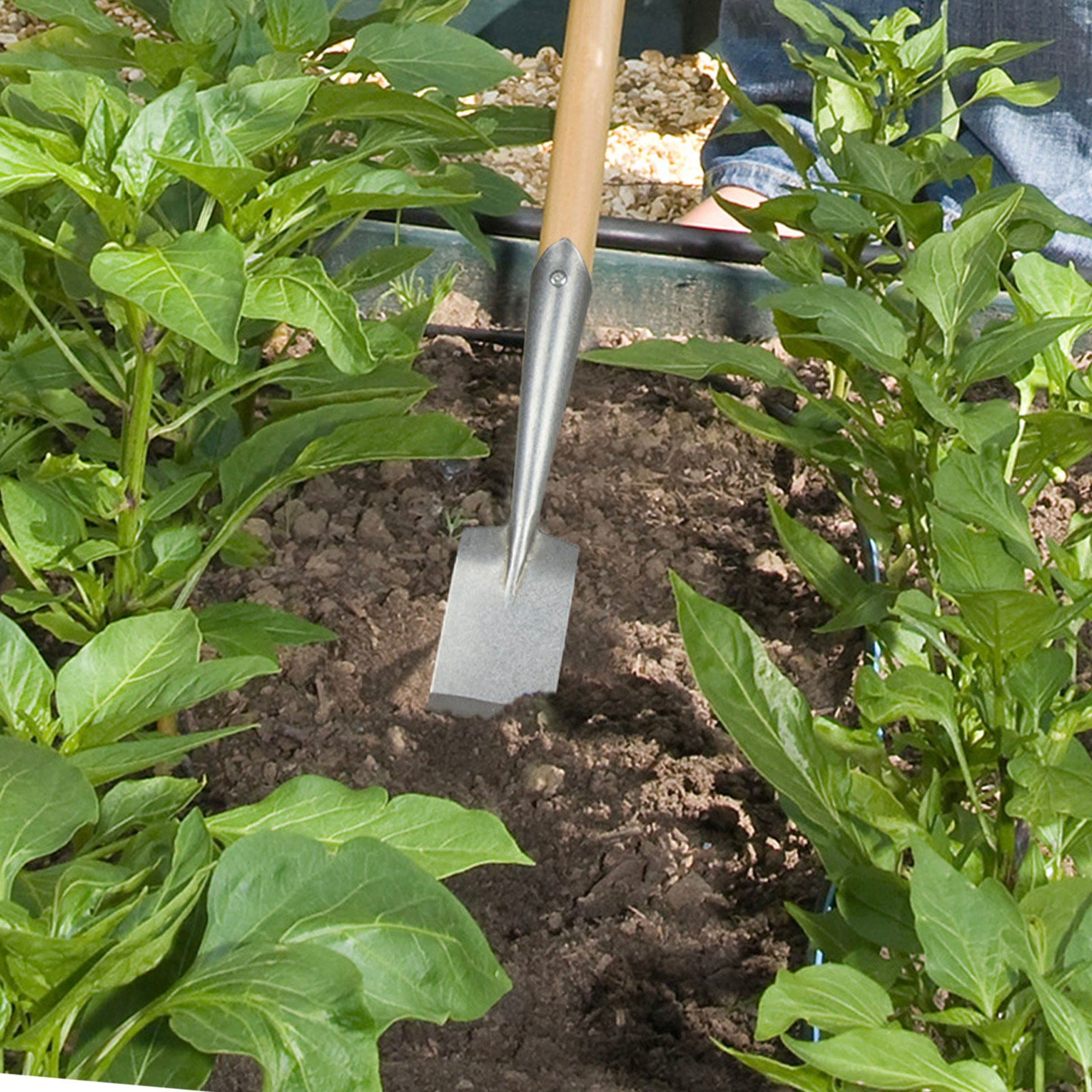 dt-brown HARDWARE Darlac Bamboo Narrow Spade Hoe Short Handle