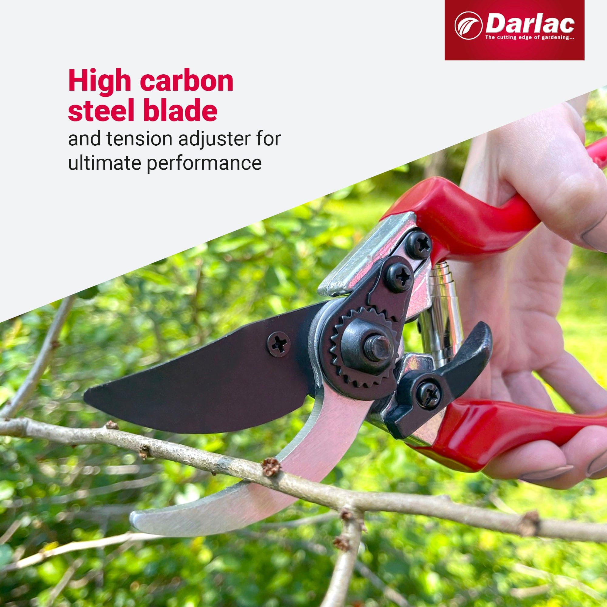 dt-brown HARDWARE Darlac Professional Secateurs