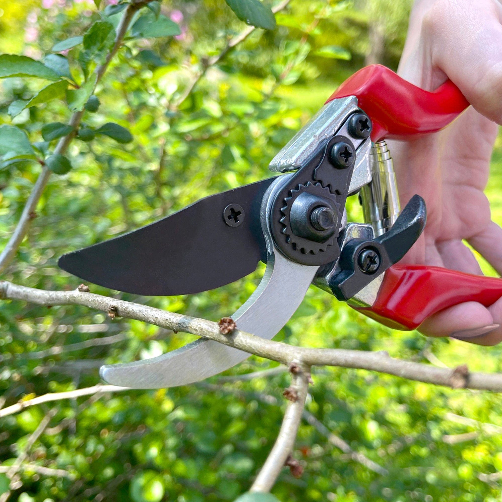 dt-brown HARDWARE Darlac Professional Secateurs