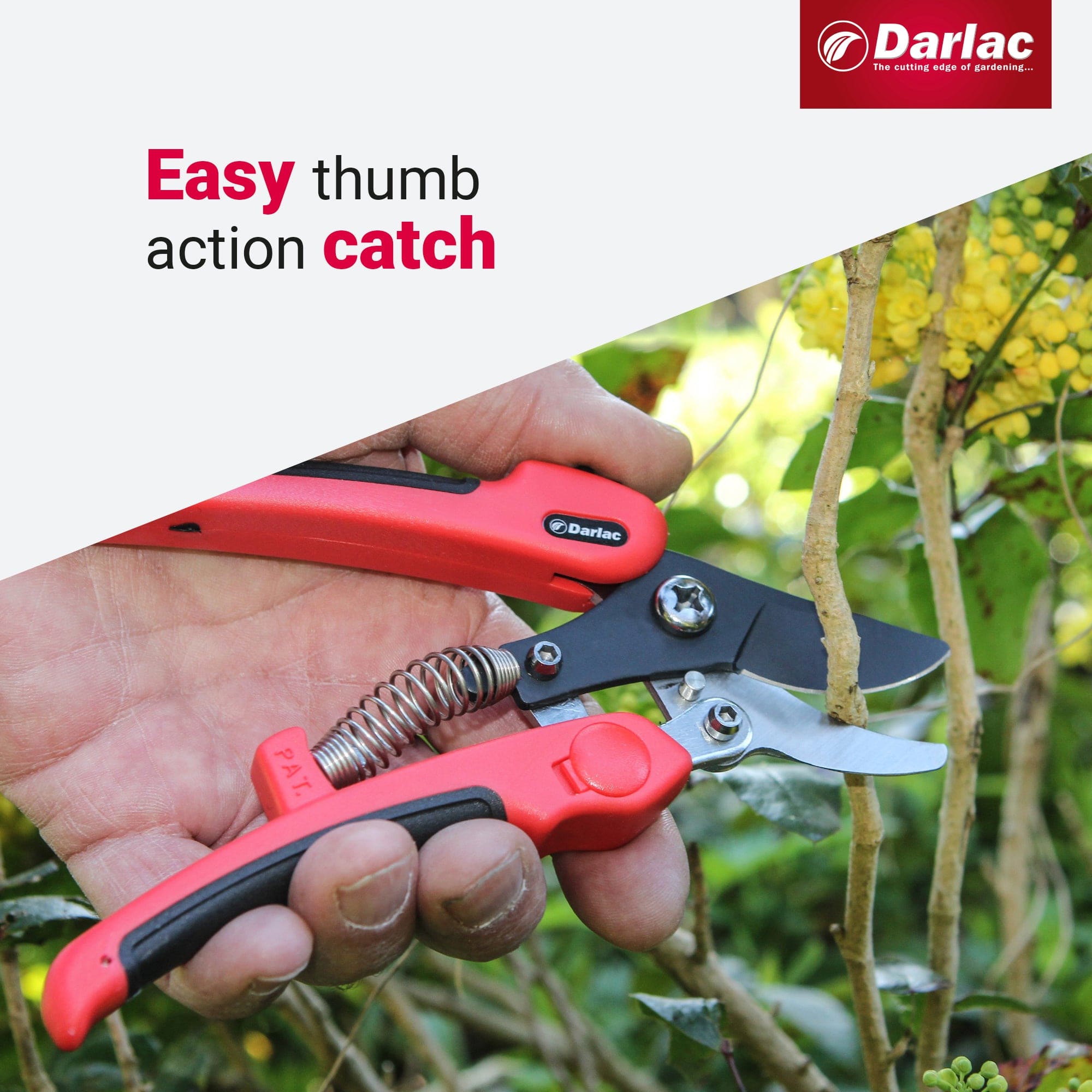 dt-brown HARDWARE Darlac Compound Action Bypass Secateurs