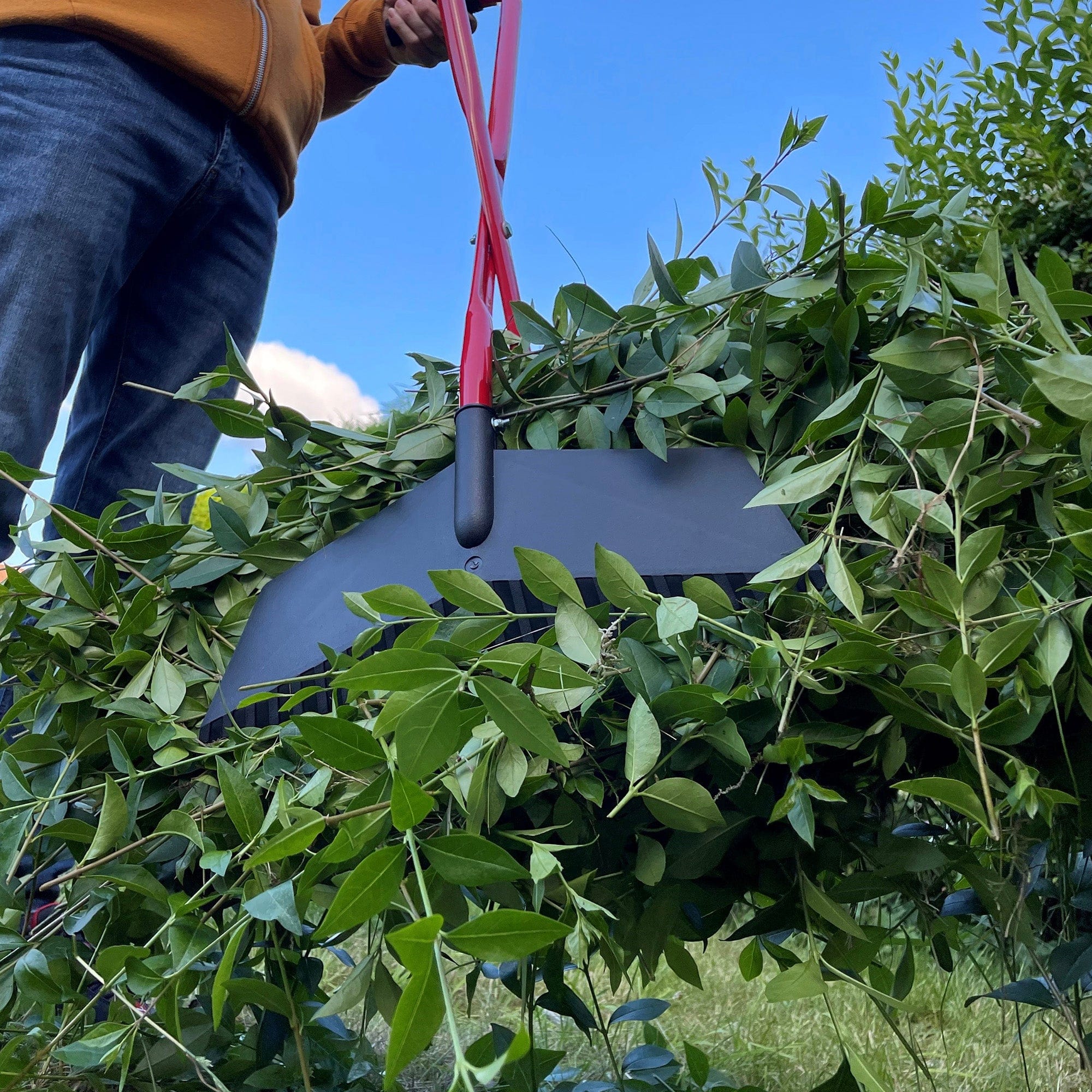 dt-brown HARDWARE Darlac Grab-n-Lift