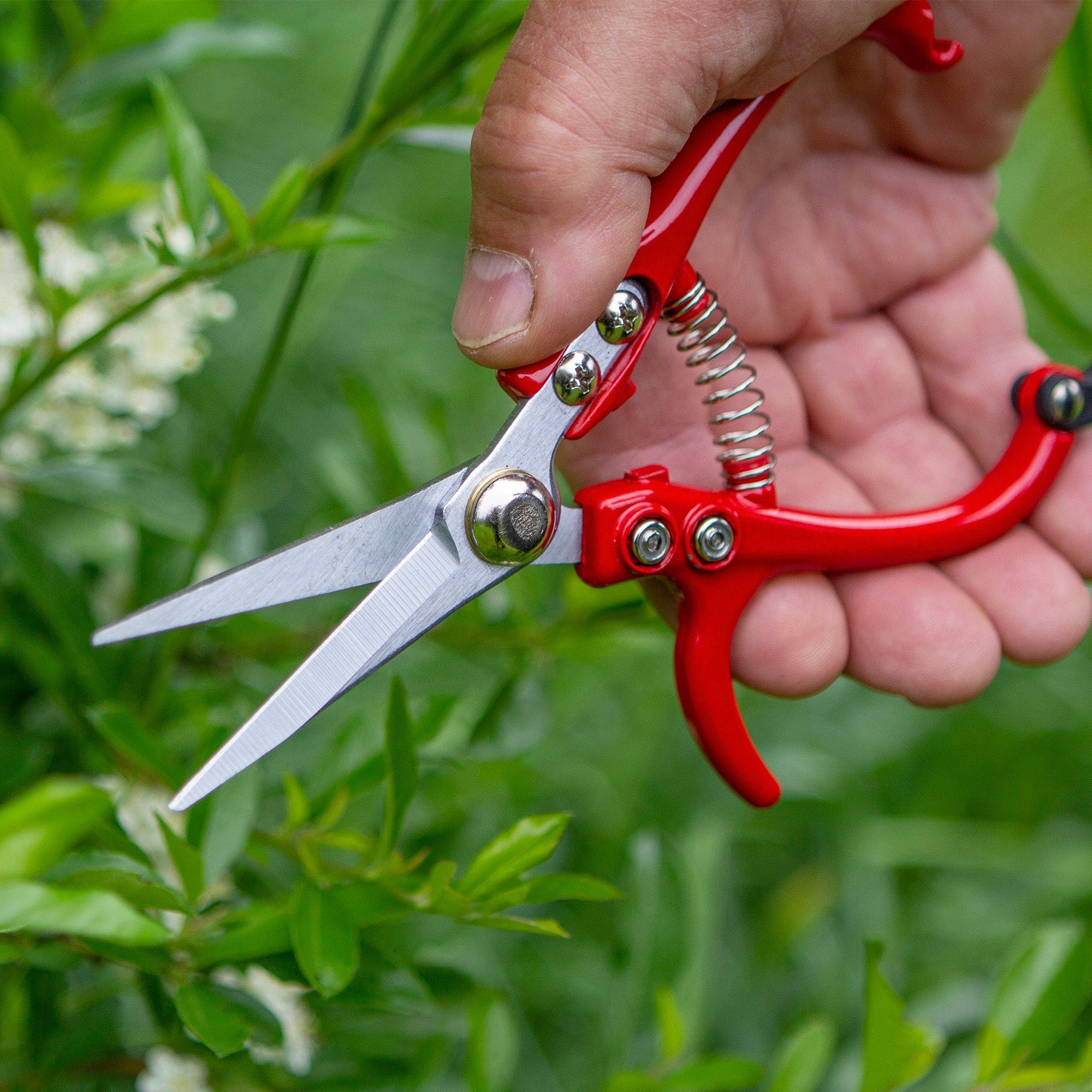 dt-brown HARDWARE Darlac Ergo Snips