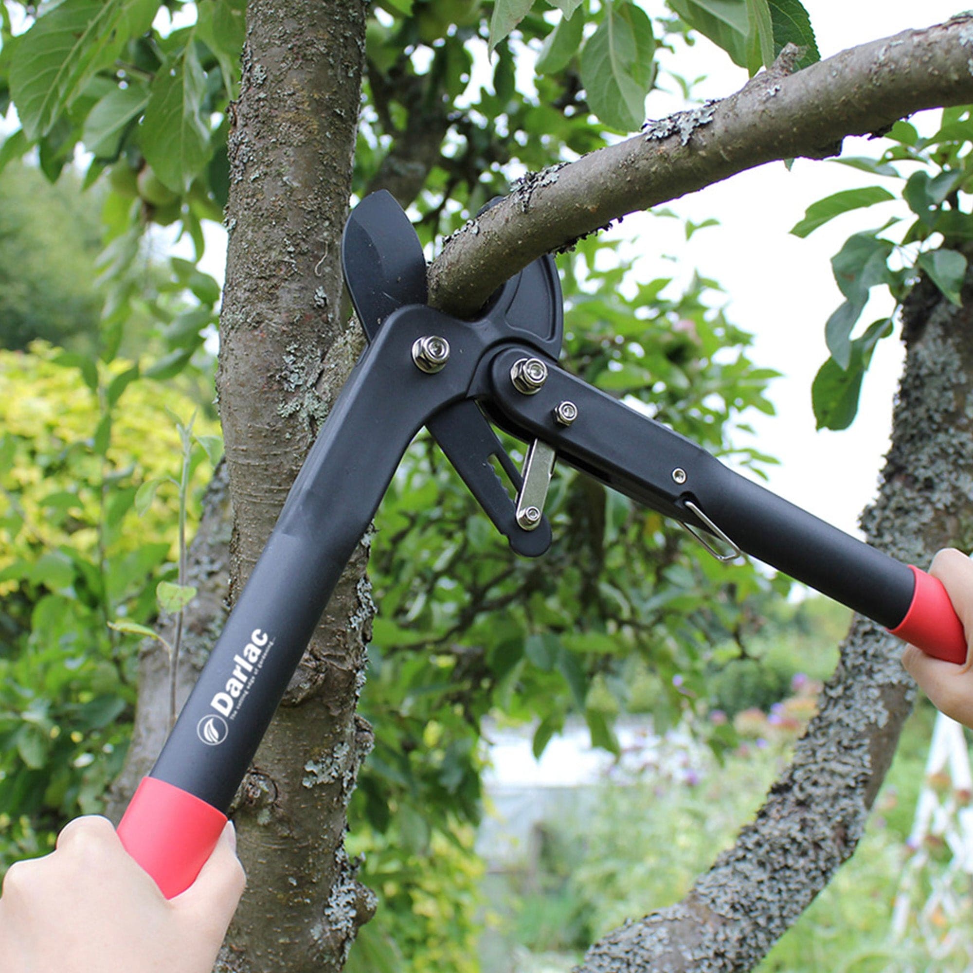 dt-brown HARDWARE Darlac Handy Ratchet Lopper