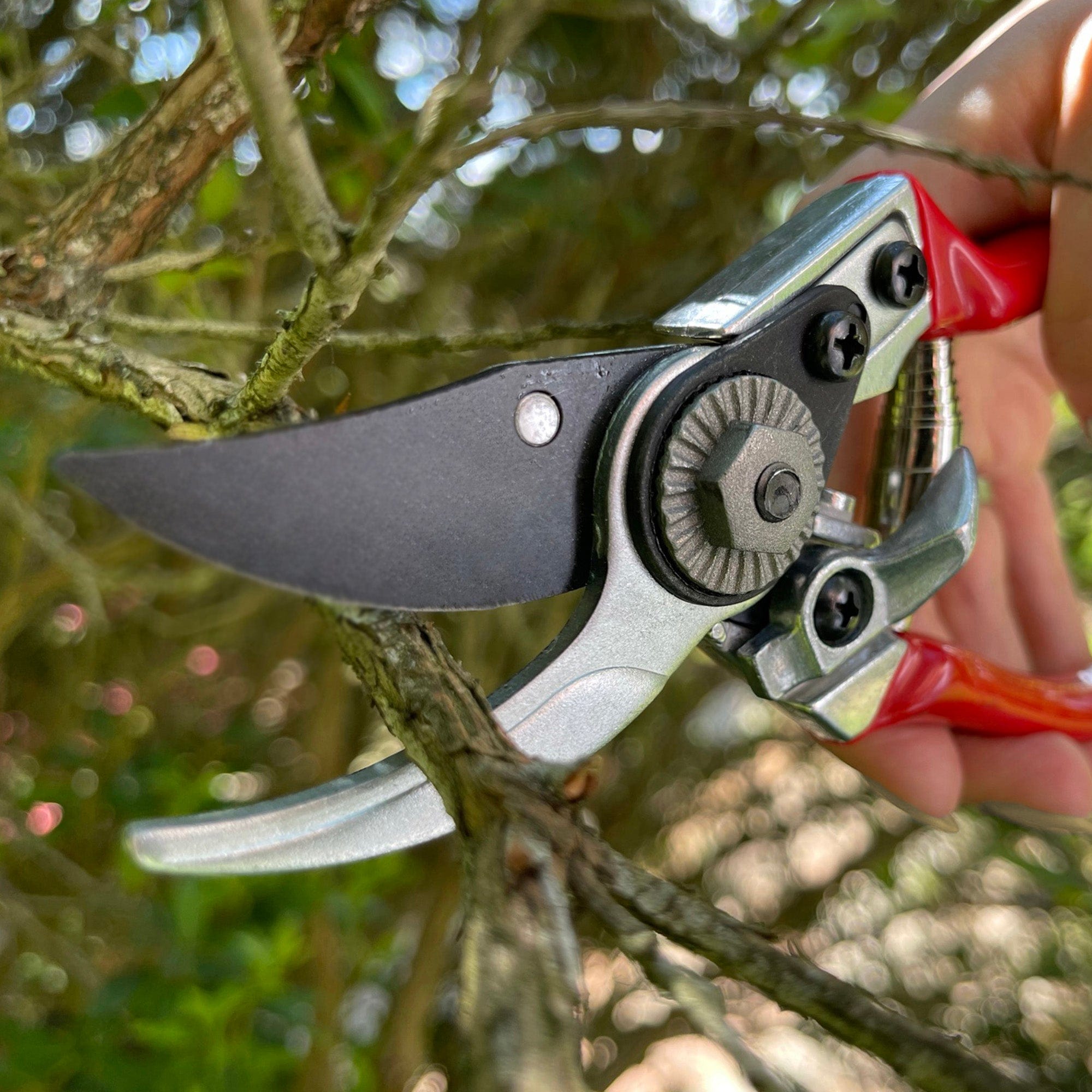 dt-brown HARDWARE Darlac Small Bypass Pruner