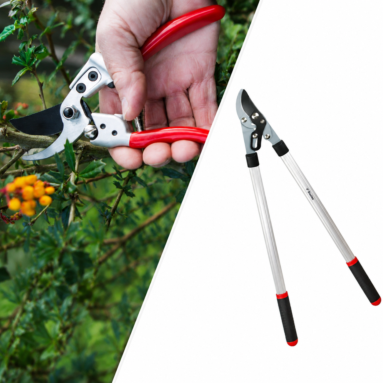 Darlac Expert Secateurs & Loppers Set