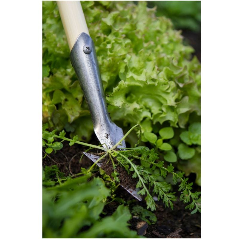 dt-brown HARDWARE Darlac Bamboo Weeding Spear Hoe Long Handle