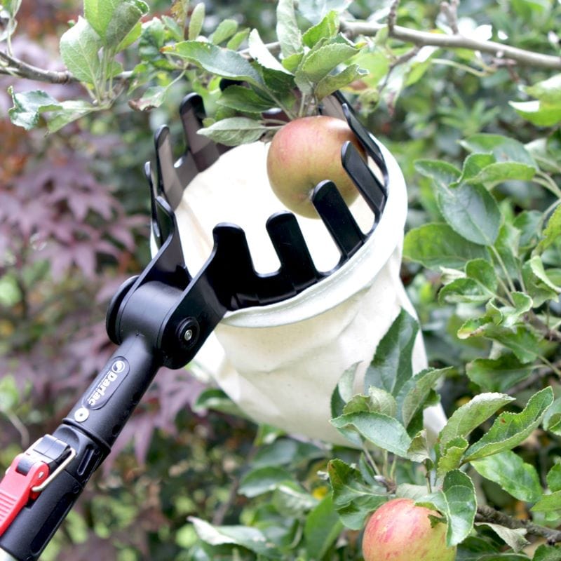 dt-brown HARDWARE Darlac Expert Fruit Basket