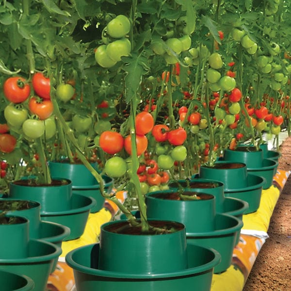 dt-brown HARDWARE Growpots Watering and Feeding System