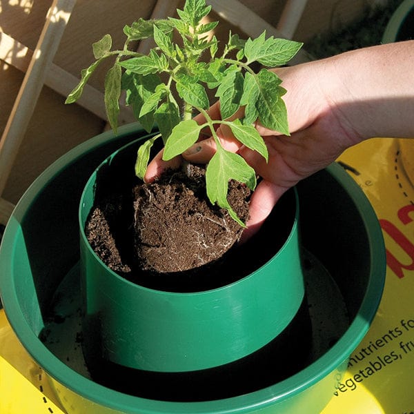 dt-brown HARDWARE Growpots Watering and Feeding System