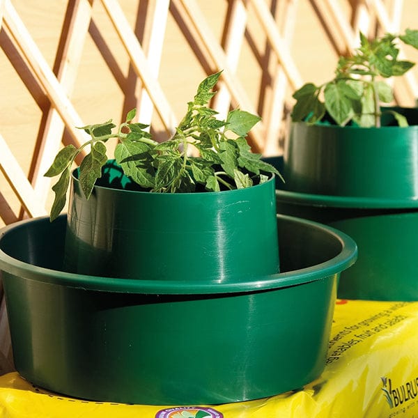 dt-brown HARDWARE Growpots Watering and Feeding System