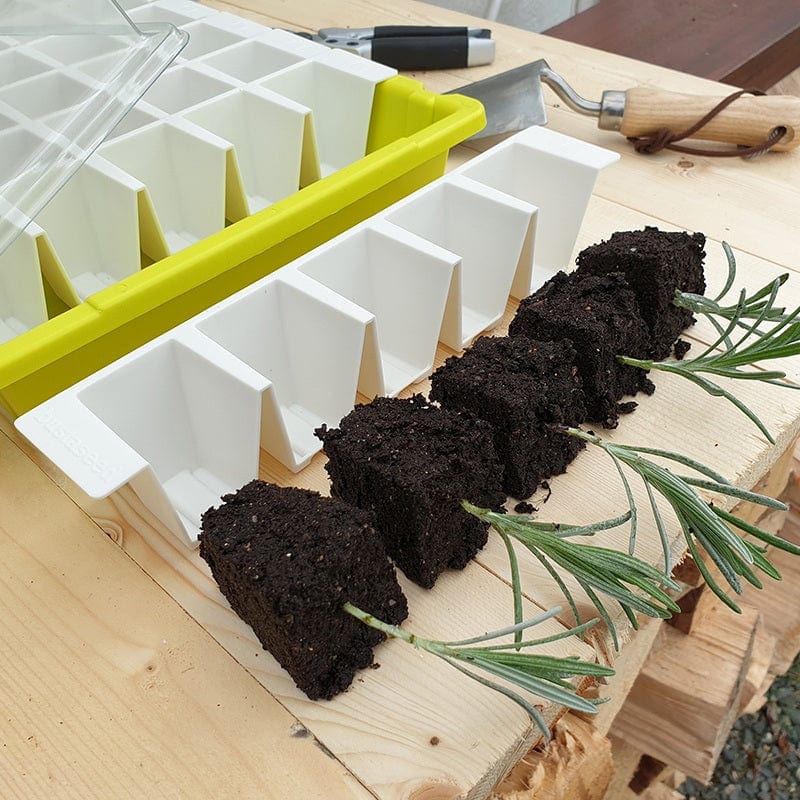 dt-brown HARDWARE Bustaseed Tip Out Propagation Kit