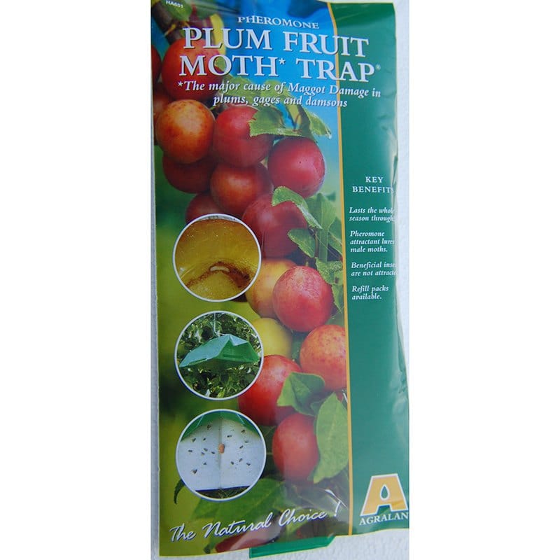 dt-brown HARDWARE Plum Fruit Moth Trap