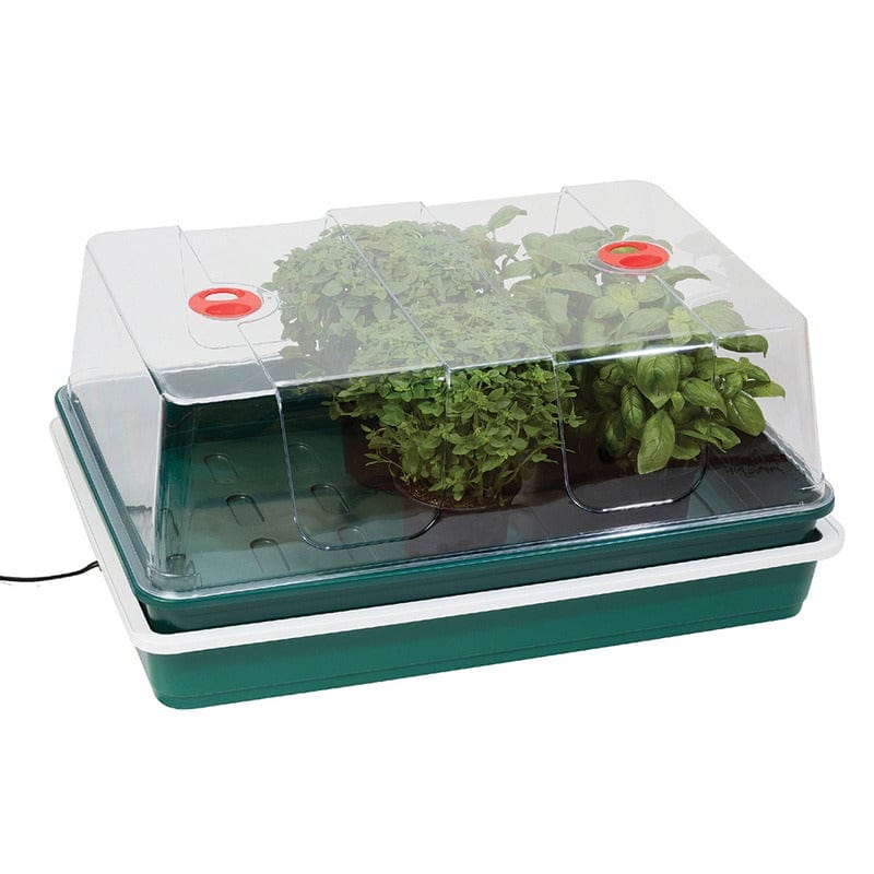 dt-brown HARDWARE Extra Large High Dome Electric Propagator 24W