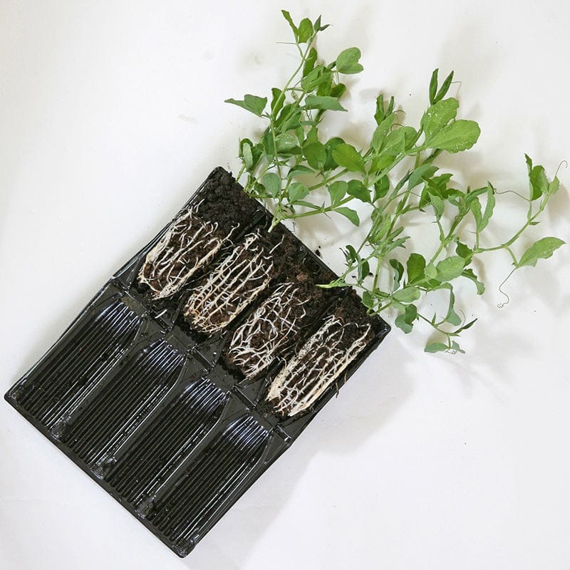 dt-brown HARDWARE Deep Rootrainers