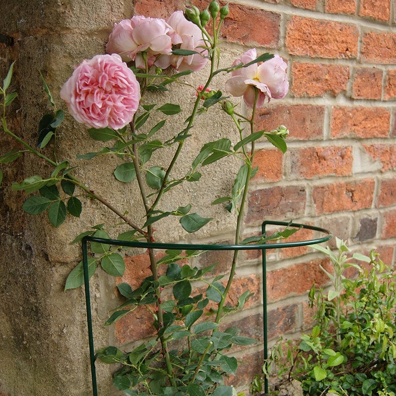 dt-brown HARDWARE Steel Plant Supports 38cm x 86cm - Green