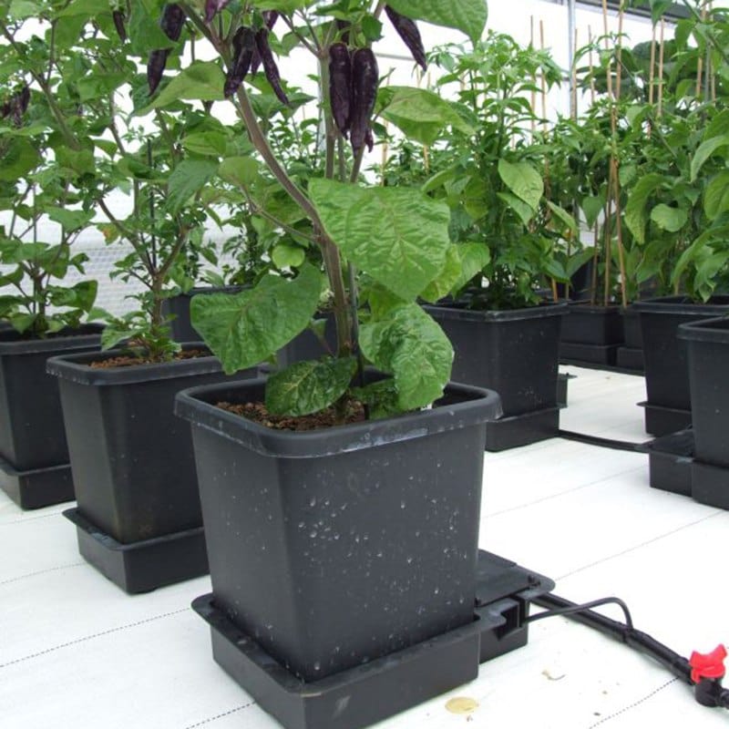 dt-brown HARDWARE 1 Pot Watering System Extension Module