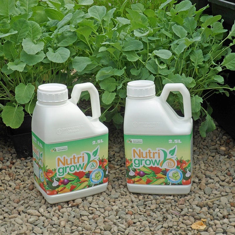 dt-brown HARDWARE Quadgrow Pots Watering System, 4 Pots