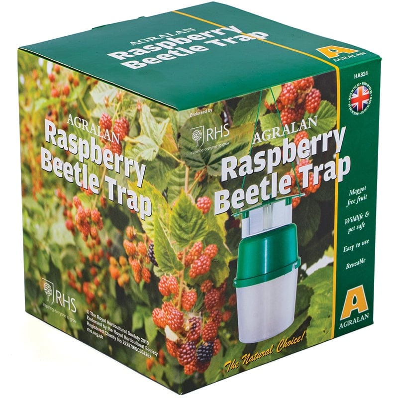 dt-brown HARDWARE Raspberry Beetle Trap