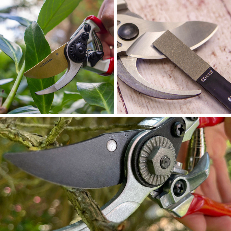 The Deadheading Collection