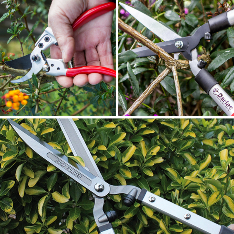 The Perfect Hedge Collection