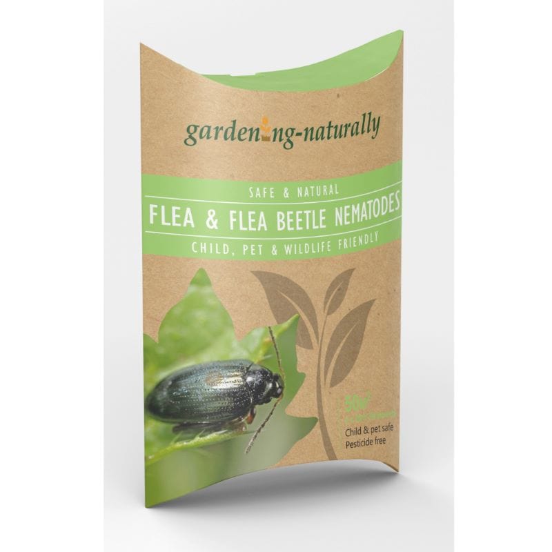 dt-brown HARDWARE Flea and Flea Beetle Control Nematodes 25sqm x 2 (2 sachets)