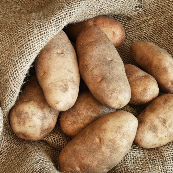 dt-brown SEED POTATOES Golden Wonder Potato Late Maincrop 1kg