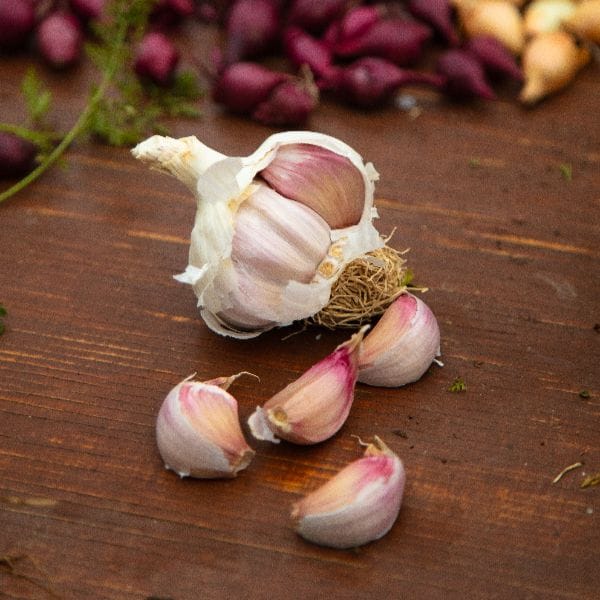 DT Brown ONIONS/GARLIC/SHALLOTS Garlic Rose Wight Bulbs