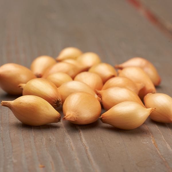 dt-brown ONIONS/GARLIC/SHALLOTS Spring Planting Onion Set Collection