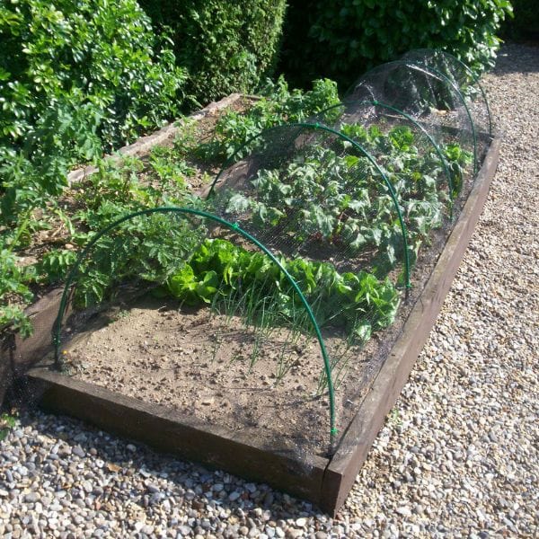 dt-brown Butterfly Plant Protection Netting