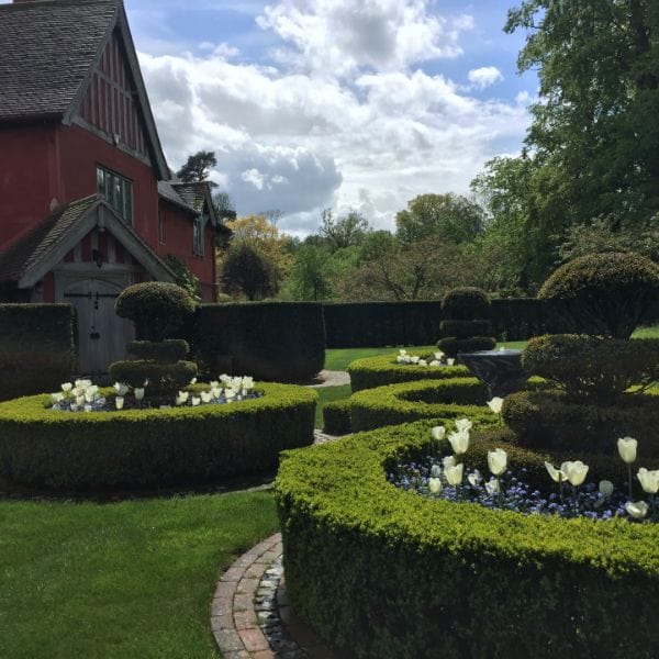 dt-brown FLOWER BULBS Tulip Purissima Flower Bulbs