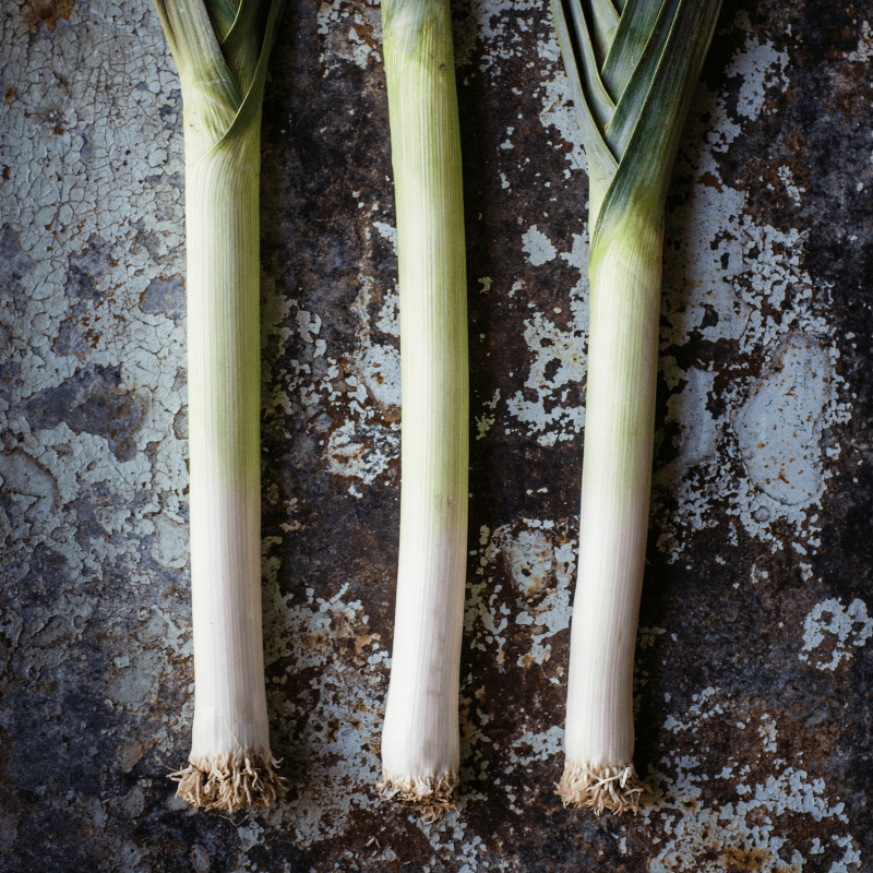 Leek Plants