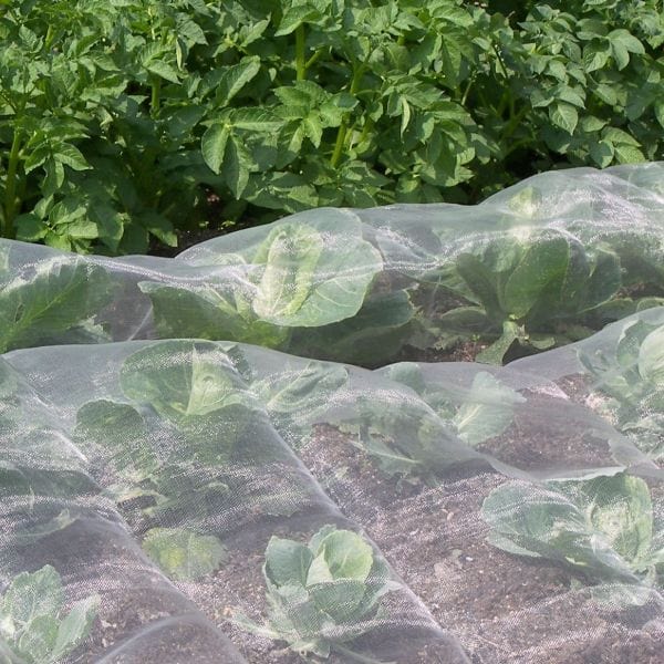 dt-brown Veggiemesh Insect Plant Protection Netting