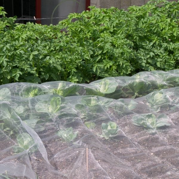 dt-brown Veggiemesh Insect Plant Protection Netting