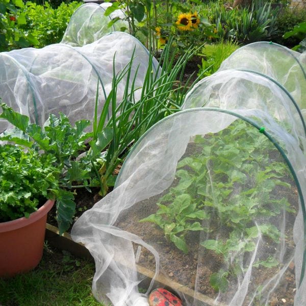 dt-brown Veggiemesh Insect Plant Protection Netting