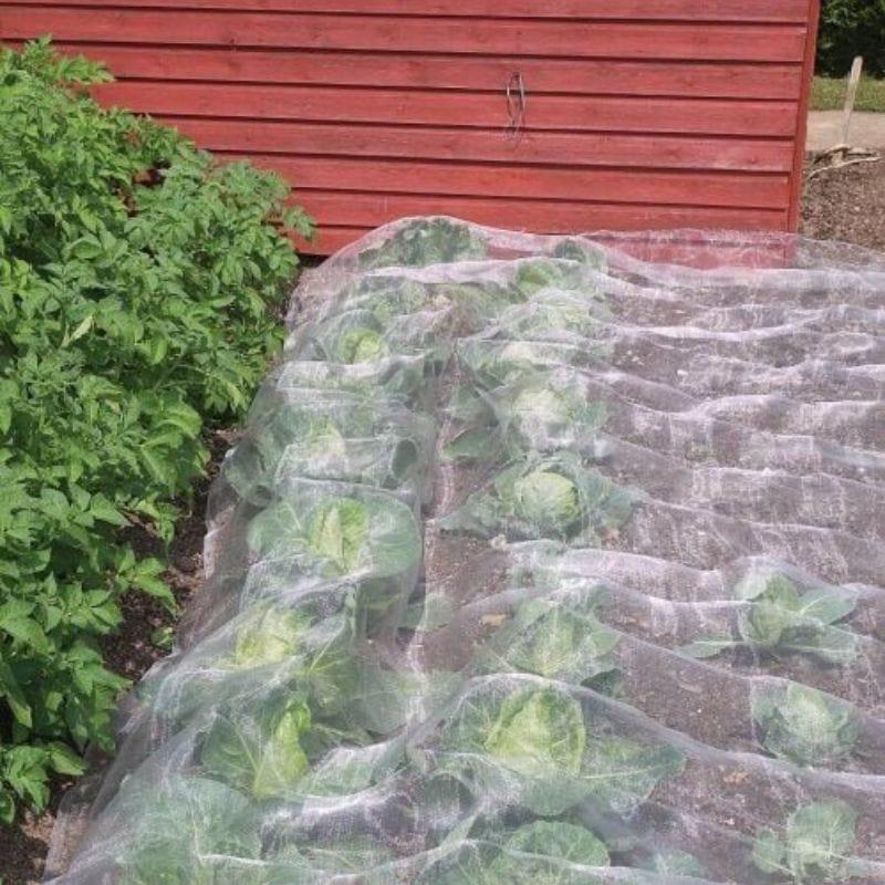 dt-brown Veggiemesh Insect Plant Protection Netting